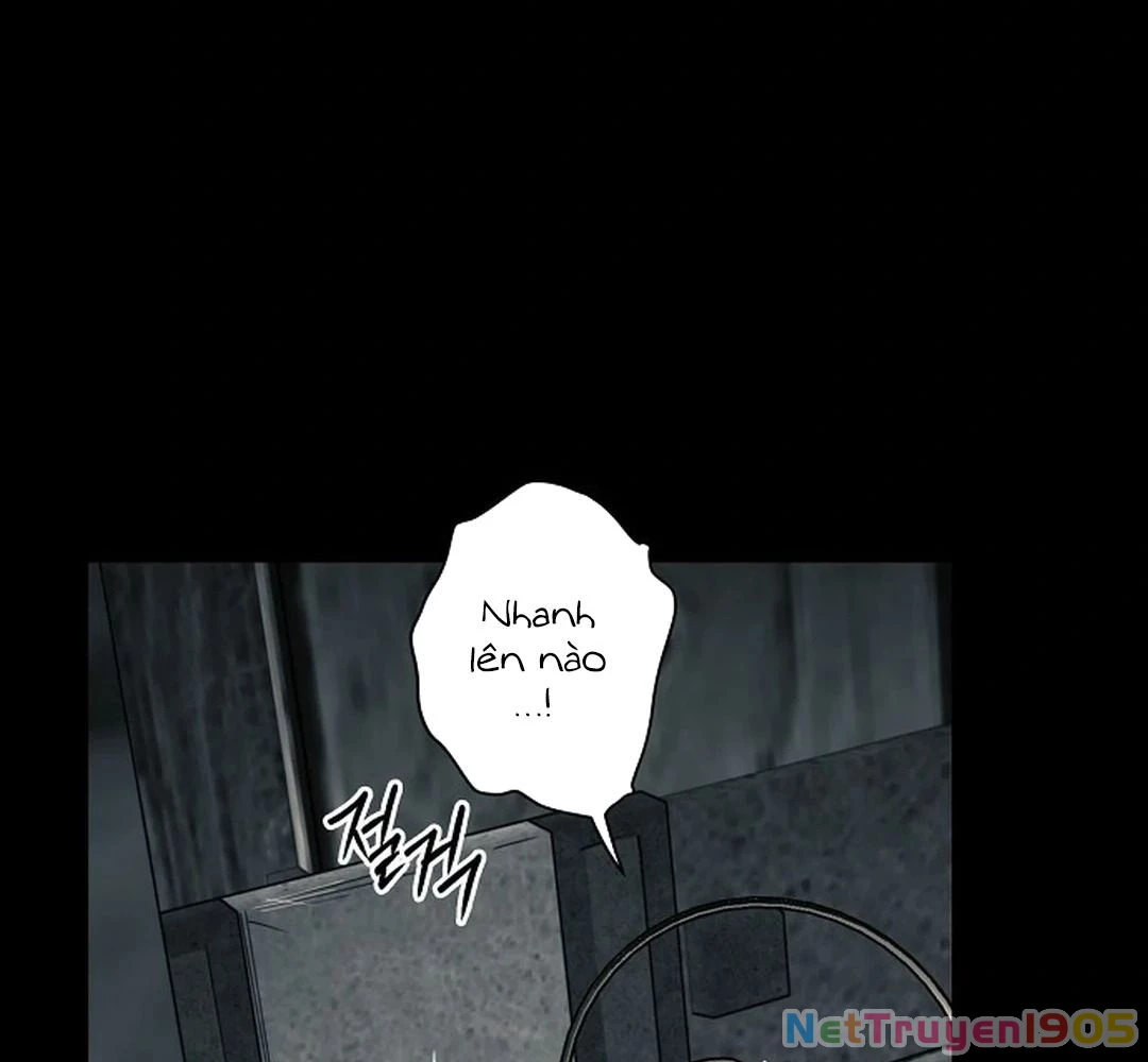 Bị Che Khuất Bởi Mặt Trời Lặn Chapter 184 - 41