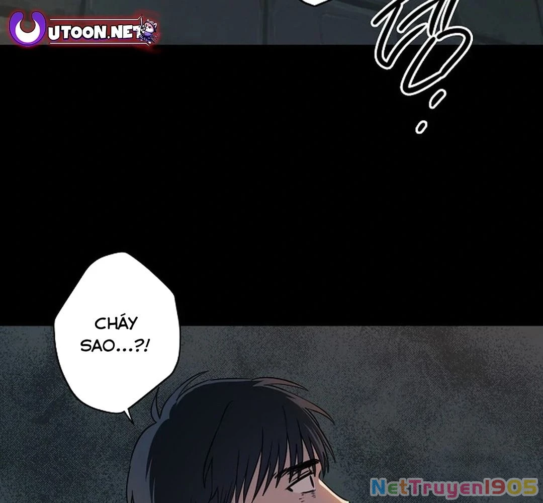 Bị Che Khuất Bởi Mặt Trời Lặn Chapter 184 - 89