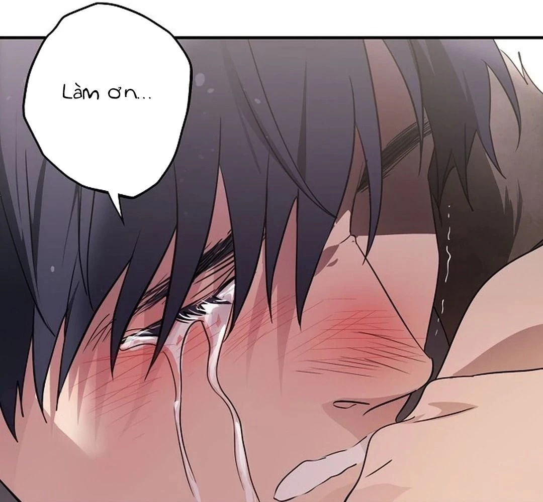 Bị Che Khuất Bởi Mặt Trời Lặn Chapter 185 - 127