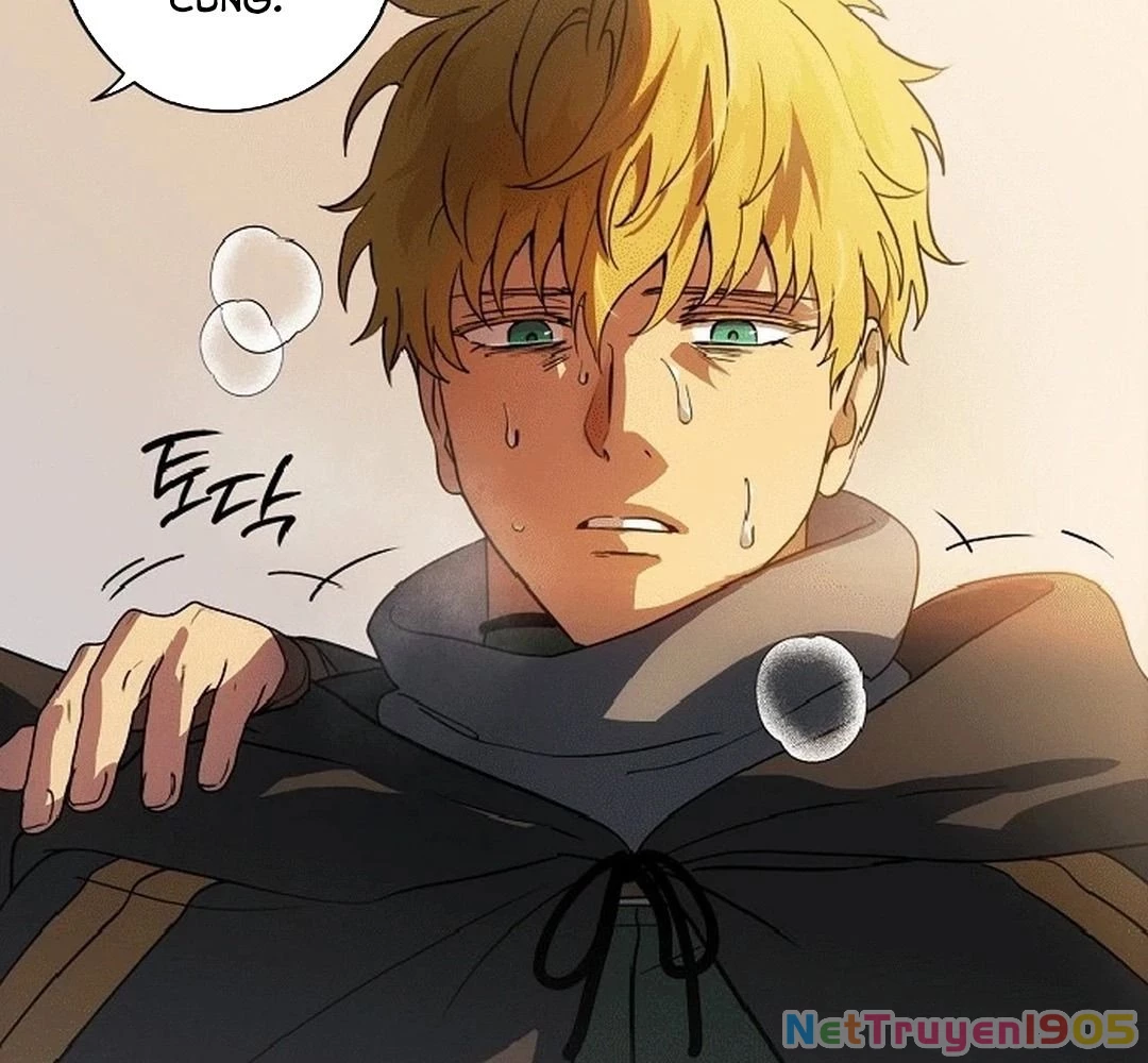 Bị Che Khuất Bởi Mặt Trời Lặn Chapter 186 - 145