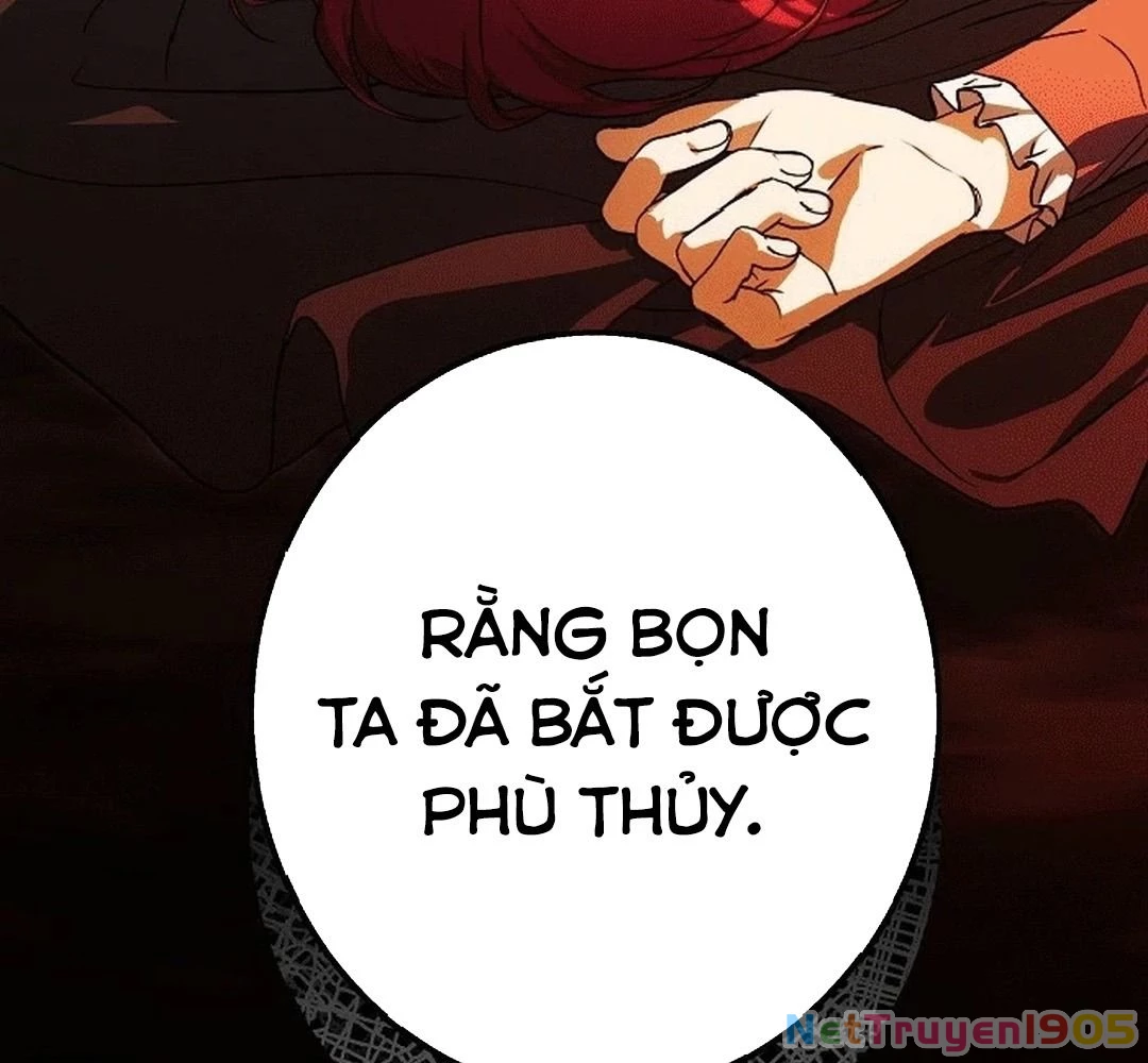 Bị Che Khuất Bởi Mặt Trời Lặn Chapter 186 - 149