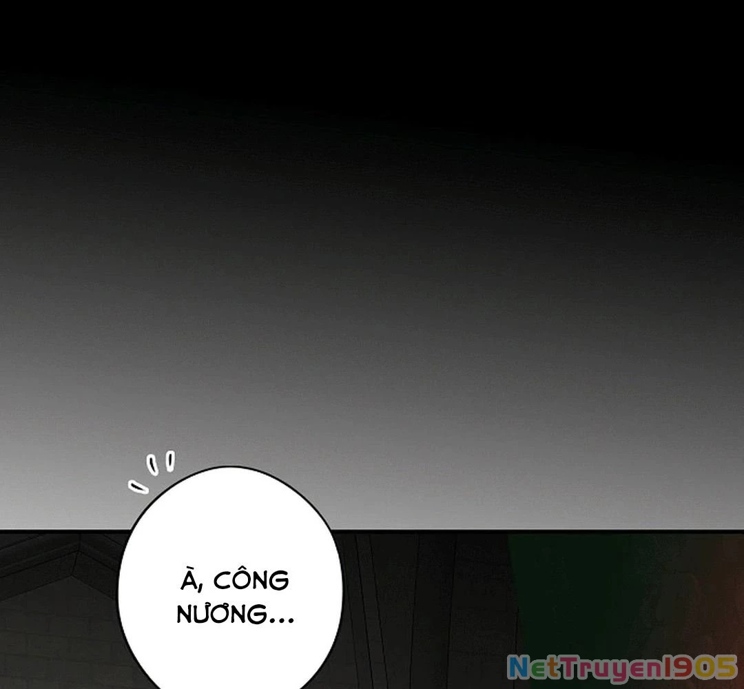 Bị Che Khuất Bởi Mặt Trời Lặn Chapter 187 - 34