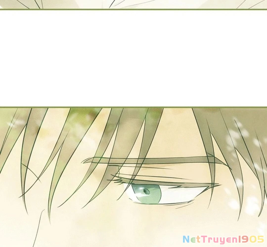 Bị Che Khuất Bởi Mặt Trời Lặn Chapter 188 - 70