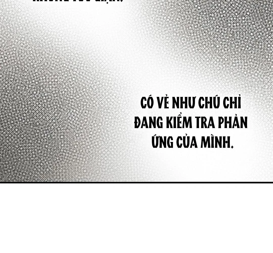 Bị Che Khuất Bởi Mặt Trời Lặn Chapter 189 - 13