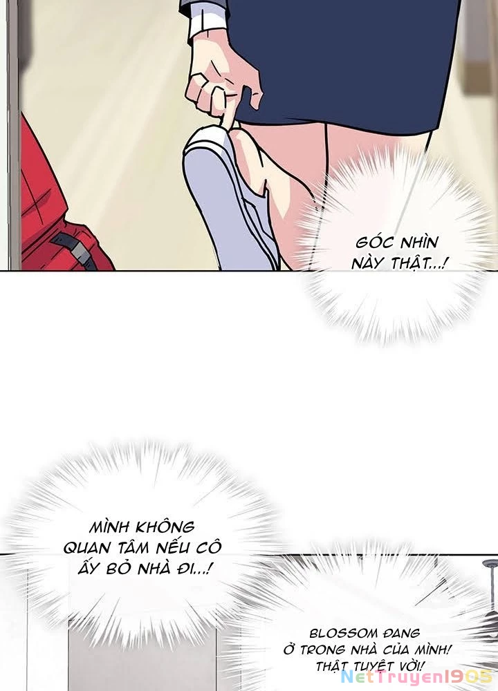 Springtime for Blossom Chapter 2 - 11