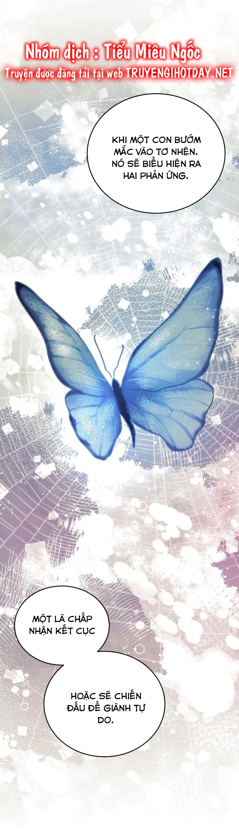 Cứu Vớt Nhân Vật Phản Diện Bị Nữ Chính Ruồng Bỏ Chapter 95 - 24