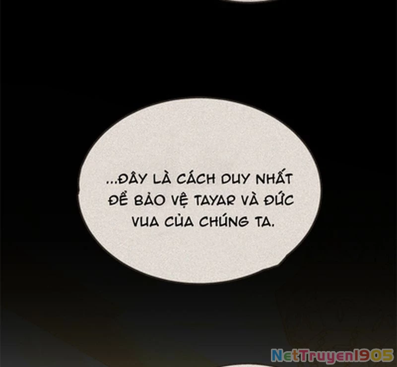 Cướp Dâu Chapter 78 - 89