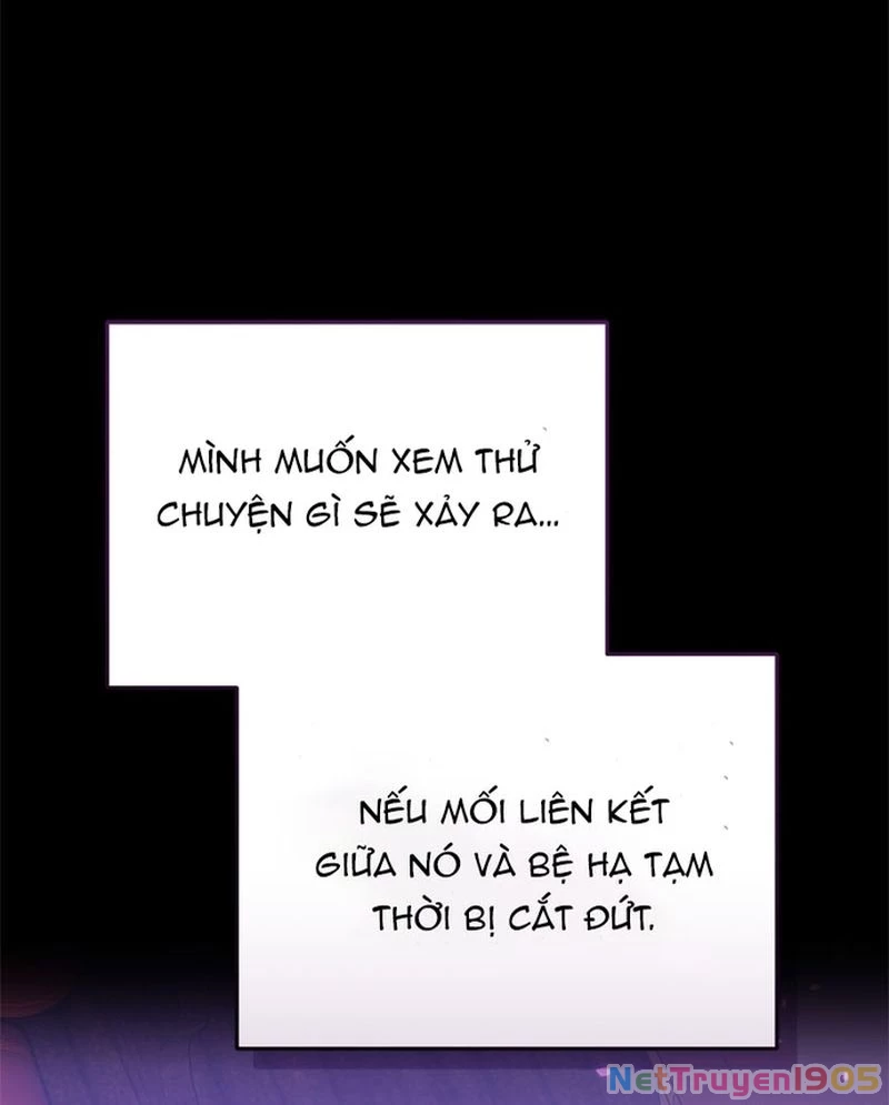Cướp Dâu Chapter 82 - 17