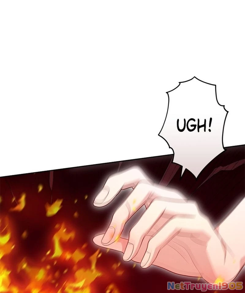 Cướp Dâu Chapter 82 - 95