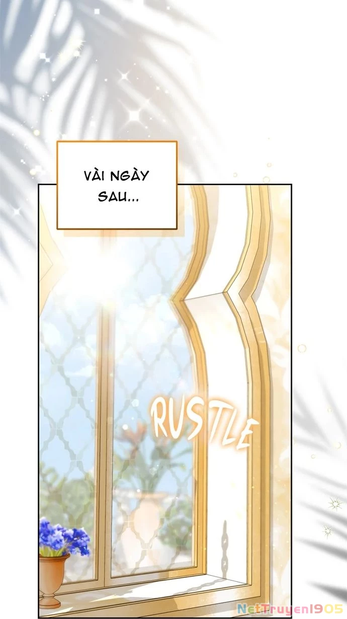 Cướp Dâu Chapter 98 - 62