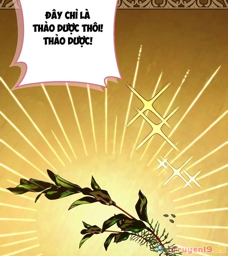 Những Nam Chính Bị Mắc Kẹt Trong Nhà Của Tôi Chapter 11 - 5