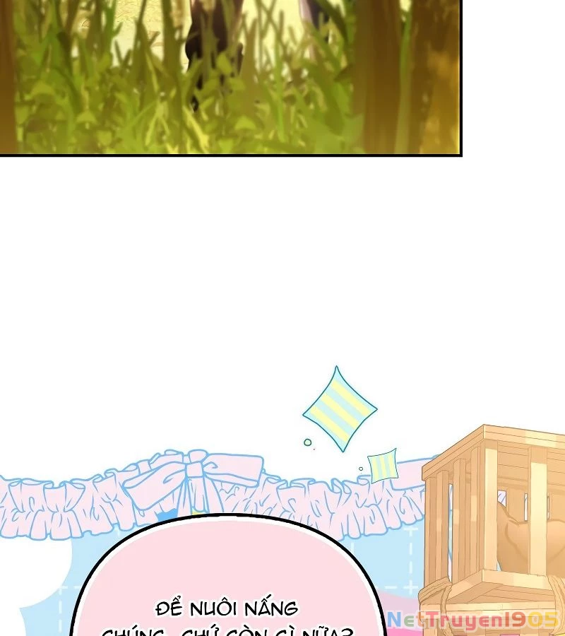 Những Nam Chính Bị Mắc Kẹt Trong Nhà Của Tôi Chapter 19 - 16