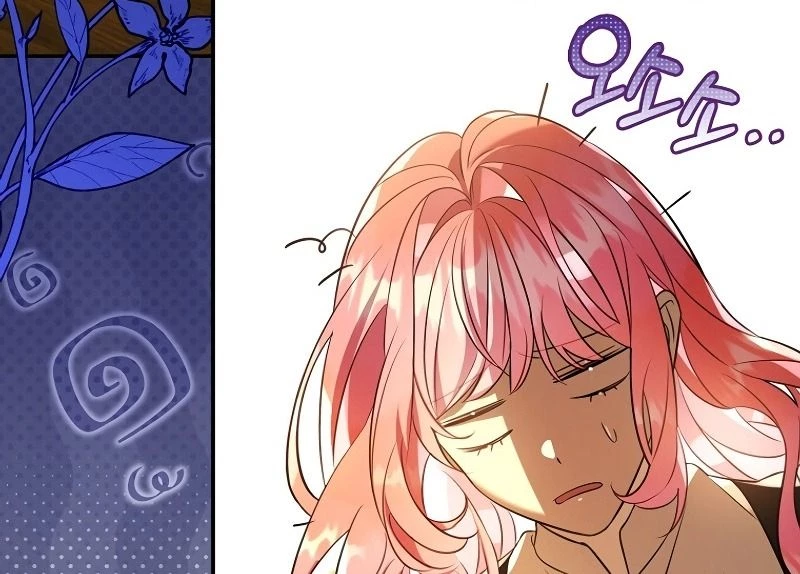 Những Nam Chính Bị Mắc Kẹt Trong Nhà Của Tôi Chapter 27 - 19