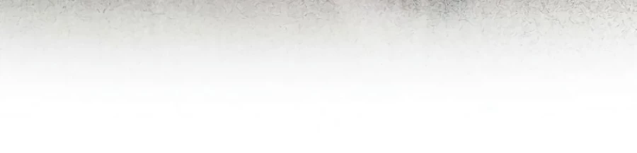 Những Nam Chính Bị Mắc Kẹt Trong Nhà Của Tôi Chapter 28 - 10