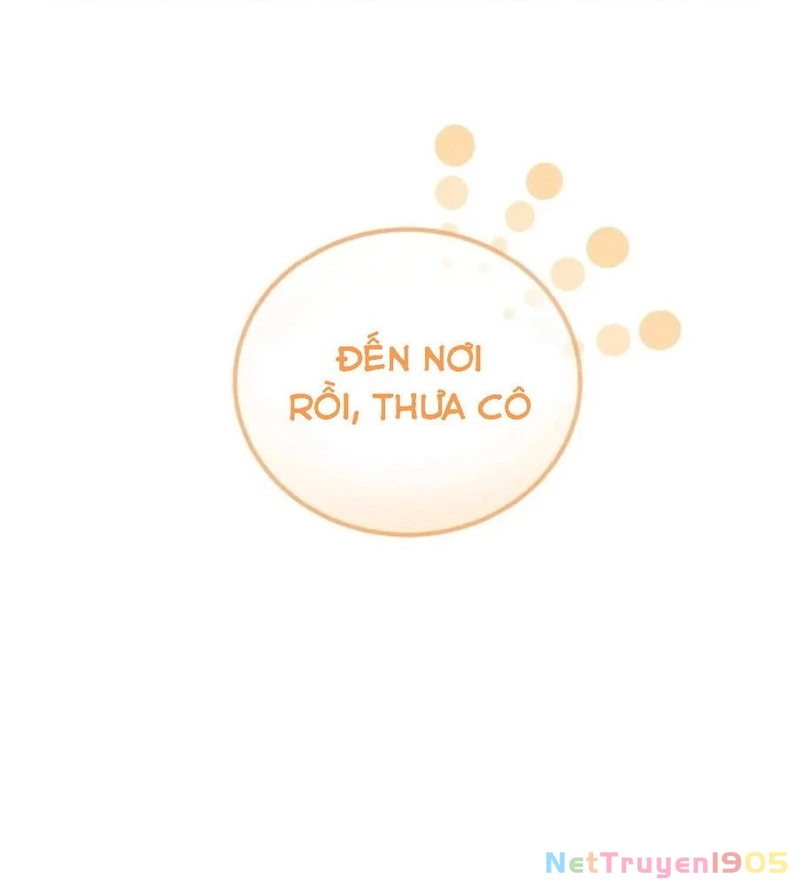 Không Bao Giờ Trở Về Gia Đình Đã Bỏ Rơi Tôi Chapter 2 - 36
