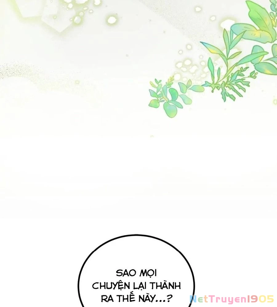 Không Bao Giờ Trở Về Gia Đình Đã Bỏ Rơi Tôi Chapter 2 - 79