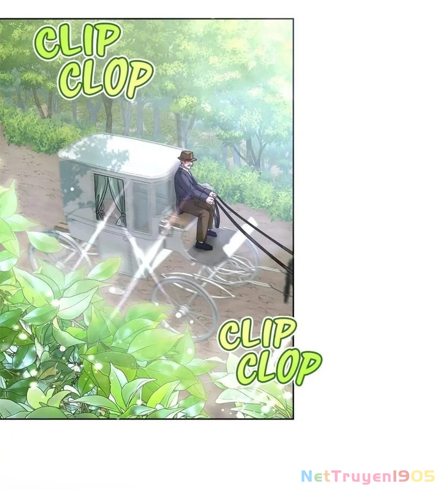 Không Bao Giờ Trở Về Gia Đình Đã Bỏ Rơi Tôi Chapter 5 - 3