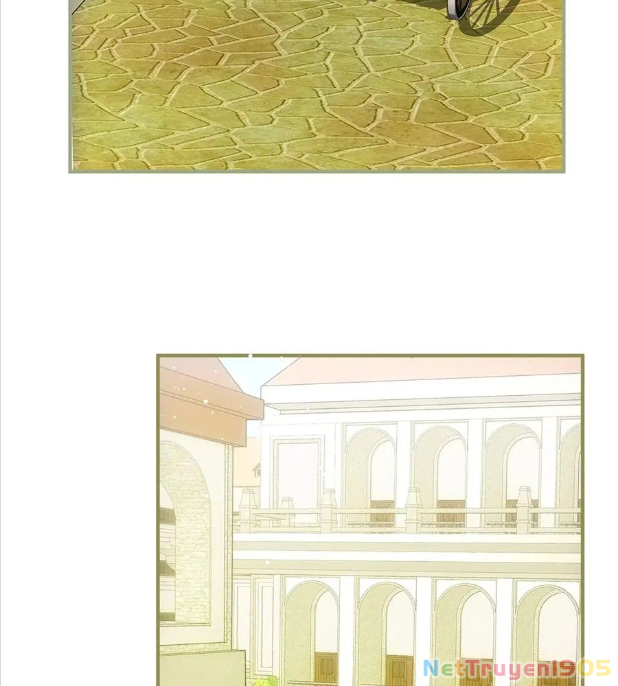 Không Bao Giờ Trở Về Gia Đình Đã Bỏ Rơi Tôi Chapter 9 - 94