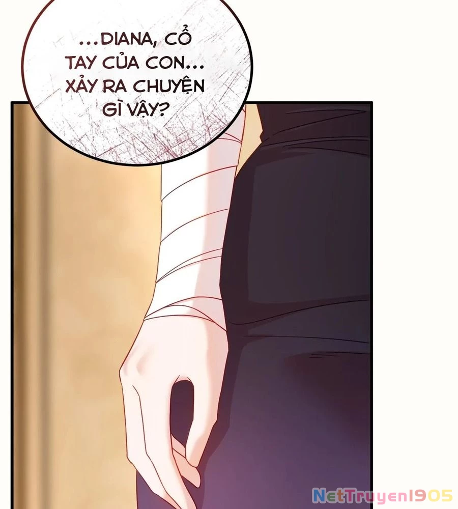 Không Bao Giờ Trở Về Gia Đình Đã Bỏ Rơi Tôi Chapter 13 - 31