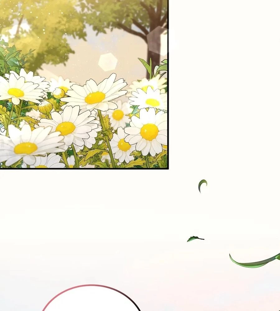 Không Bao Giờ Trở Về Gia Đình Đã Bỏ Rơi Tôi Chapter 13 - 37