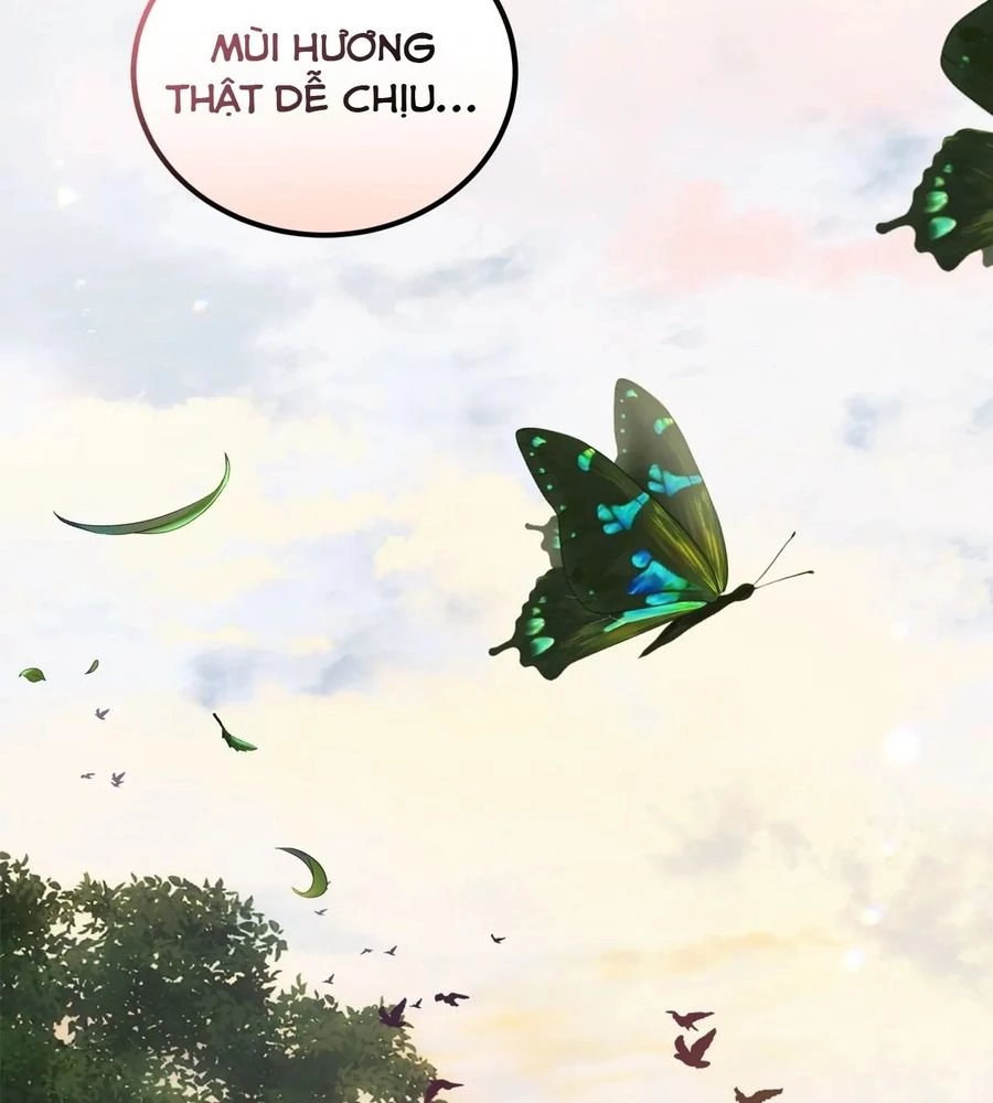 Không Bao Giờ Trở Về Gia Đình Đã Bỏ Rơi Tôi Chapter 13 - 38