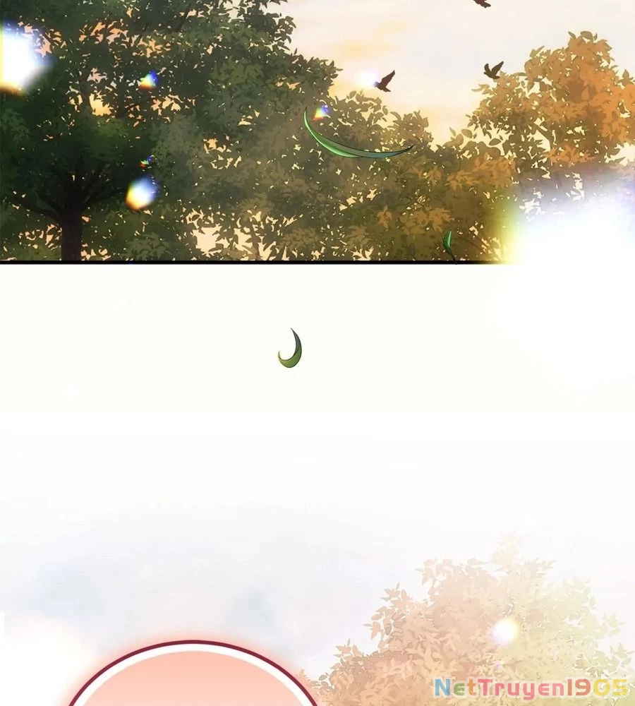 Không Bao Giờ Trở Về Gia Đình Đã Bỏ Rơi Tôi Chapter 13 - 39