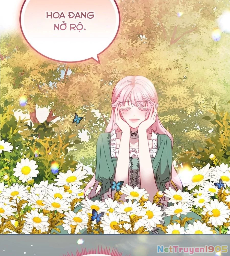 Không Bao Giờ Trở Về Gia Đình Đã Bỏ Rơi Tôi Chapter 13 - 40