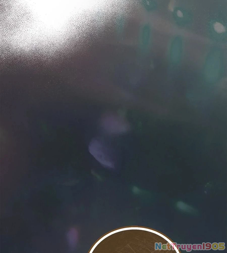 Không Bao Giờ Trở Về Gia Đình Đã Bỏ Rơi Tôi Chapter 13 - 77