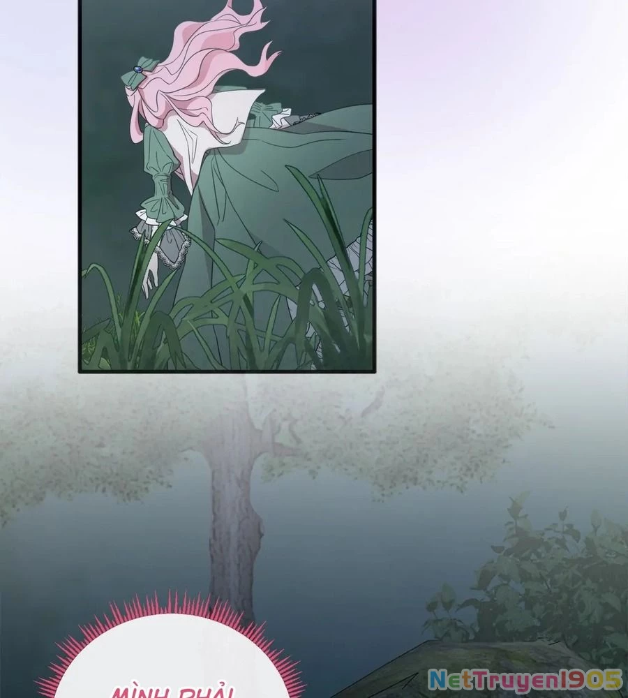 Không Bao Giờ Trở Về Gia Đình Đã Bỏ Rơi Tôi Chapter 13 - 96