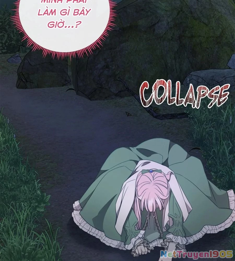 Không Bao Giờ Trở Về Gia Đình Đã Bỏ Rơi Tôi Chapter 13 - 97