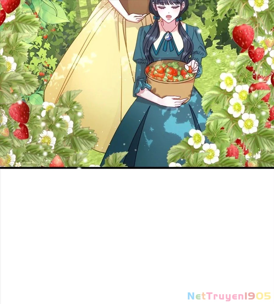 Không Bao Giờ Trở Về Gia Đình Đã Bỏ Rơi Tôi Chapter 14 - 89