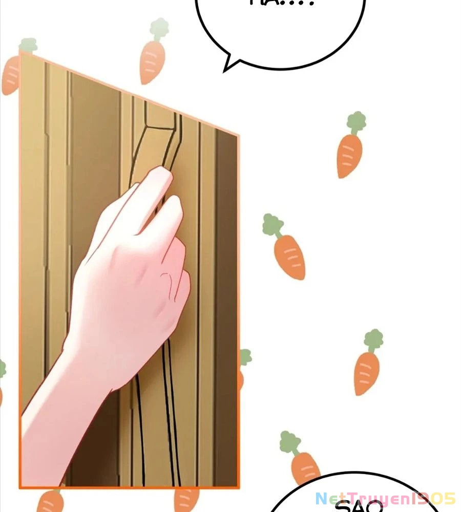 Không Bao Giờ Trở Về Gia Đình Đã Bỏ Rơi Tôi Chapter 16 - 26