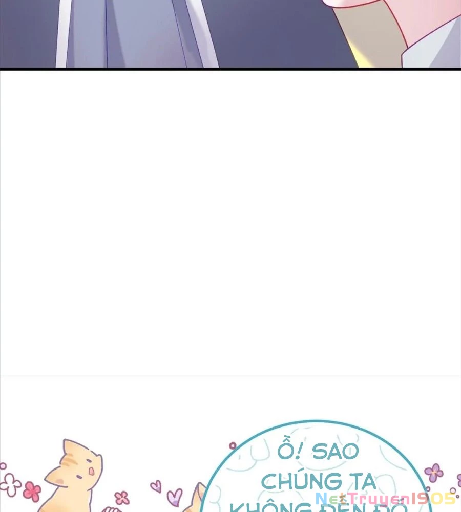 Không Bao Giờ Trở Về Gia Đình Đã Bỏ Rơi Tôi Chapter 16 - 44