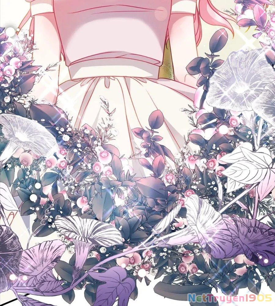 Không Bao Giờ Trở Về Gia Đình Đã Bỏ Rơi Tôi Chapter 17 - 40