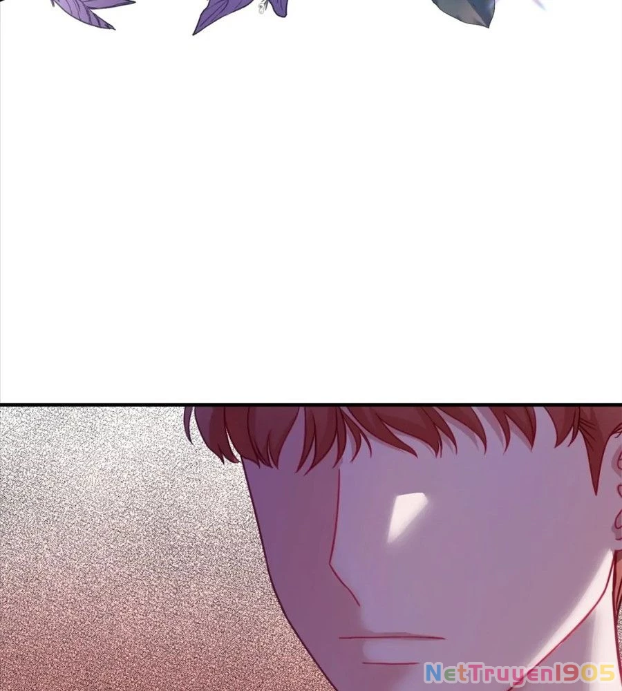 Không Bao Giờ Trở Về Gia Đình Đã Bỏ Rơi Tôi Chapter 17 - 41