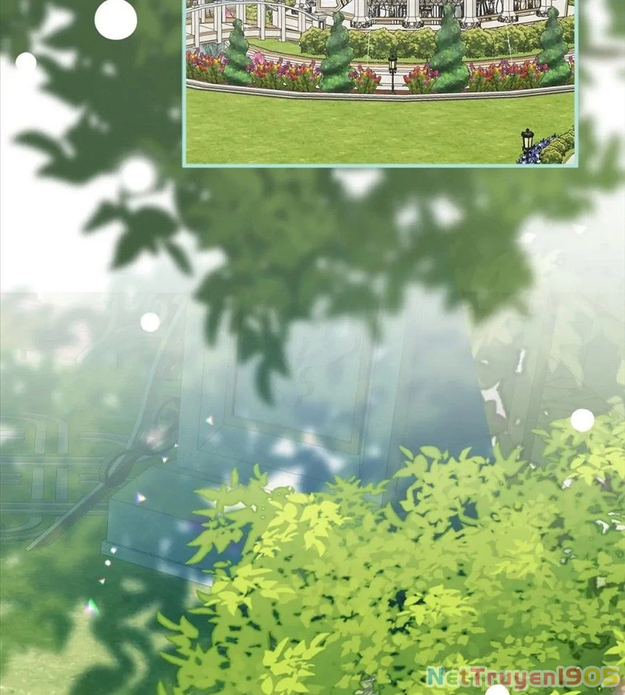 Không Bao Giờ Trở Về Gia Đình Đã Bỏ Rơi Tôi Chapter 17 - 80