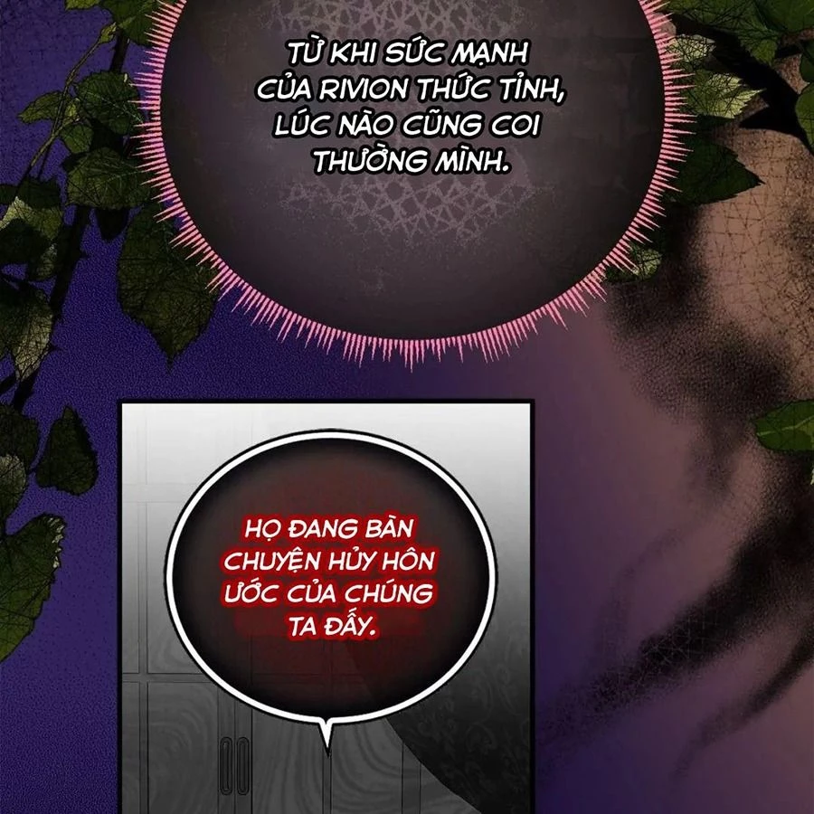 Không Bao Giờ Trở Về Gia Đình Đã Bỏ Rơi Tôi Chapter 22 - 120