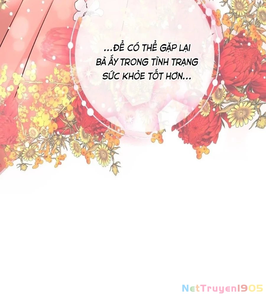 Không Bao Giờ Trở Về Gia Đình Đã Bỏ Rơi Tôi Chapter 24 - 32