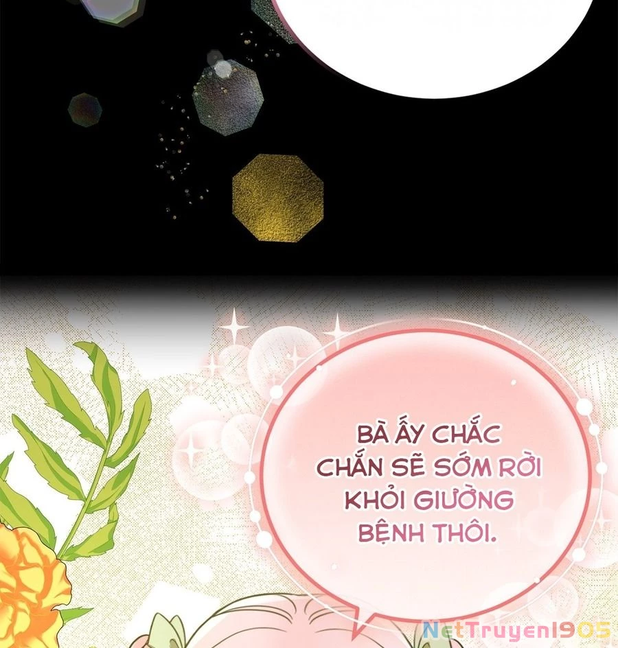 Không Bao Giờ Trở Về Gia Đình Đã Bỏ Rơi Tôi Chapter 30 - 95