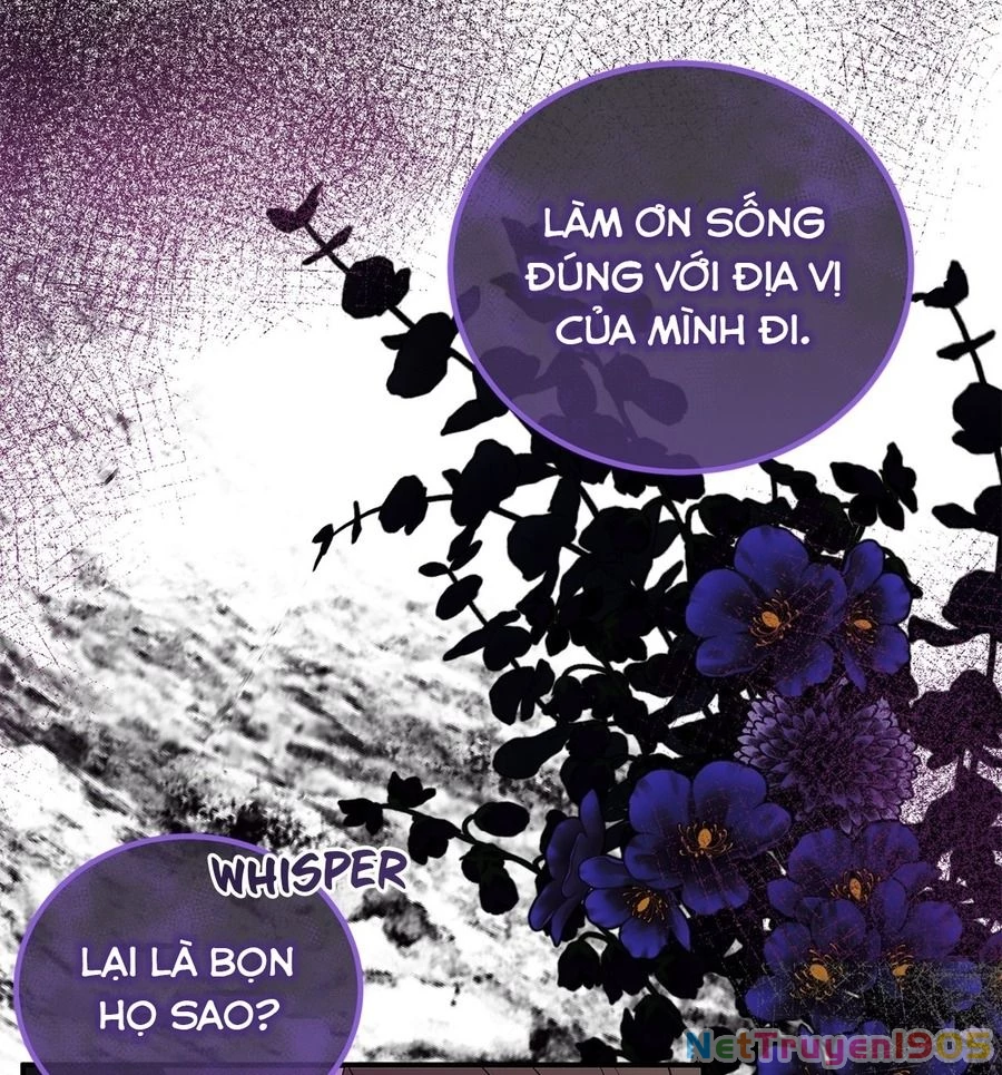 Không Bao Giờ Trở Về Gia Đình Đã Bỏ Rơi Tôi Chapter 34 - 52