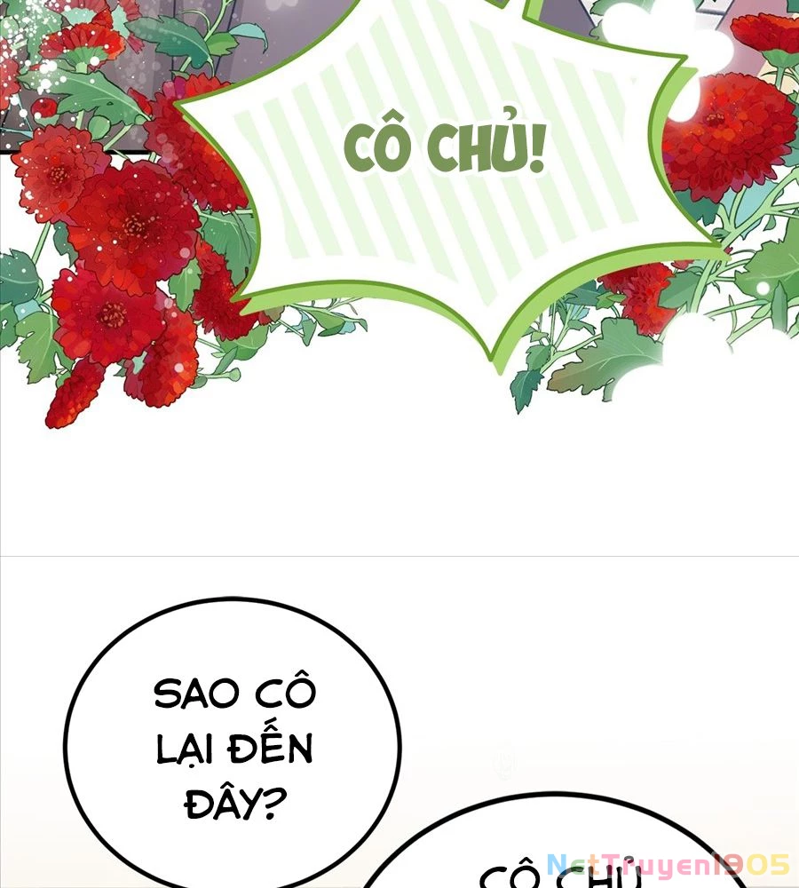 Không Bao Giờ Trở Về Gia Đình Đã Bỏ Rơi Tôi Chapter 40 - 44