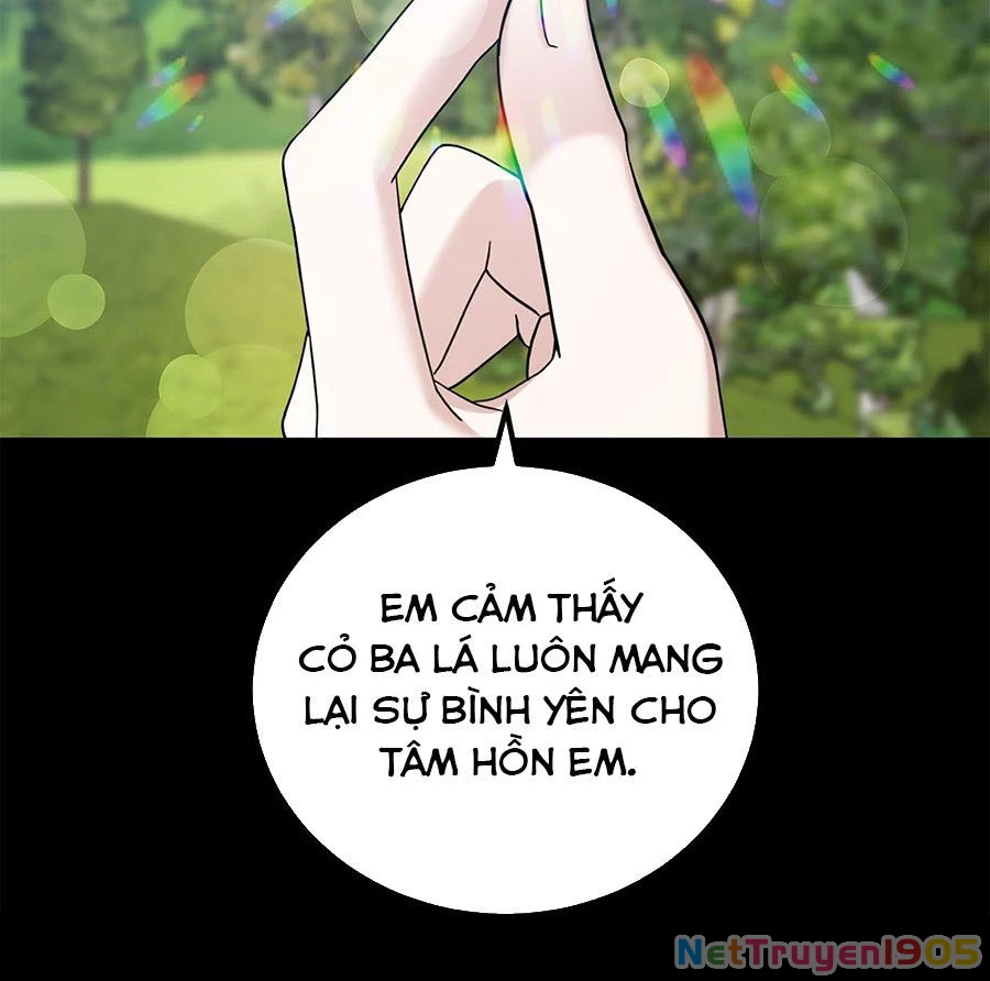 Không Bao Giờ Trở Về Gia Đình Đã Bỏ Rơi Tôi Chapter 47 - 15