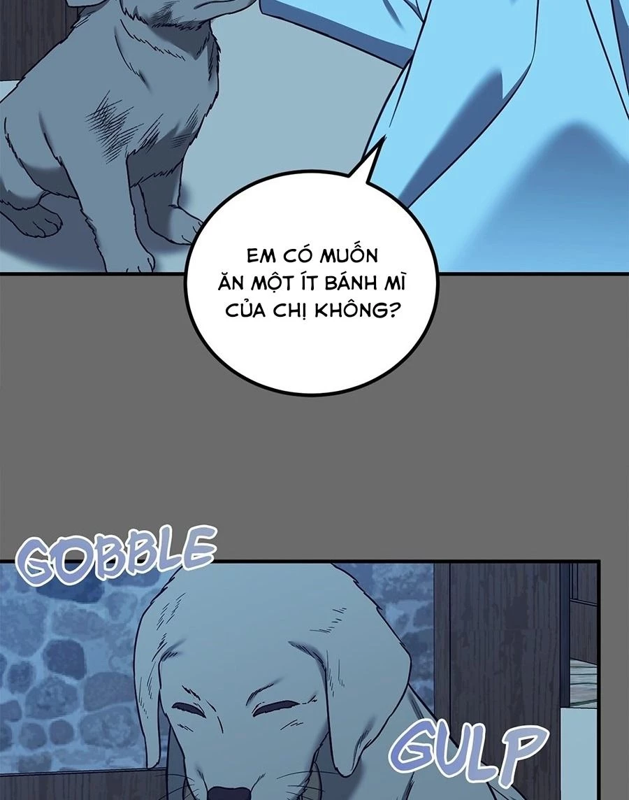 Không Bao Giờ Trở Về Gia Đình Đã Bỏ Rơi Tôi Chapter 62 - 25