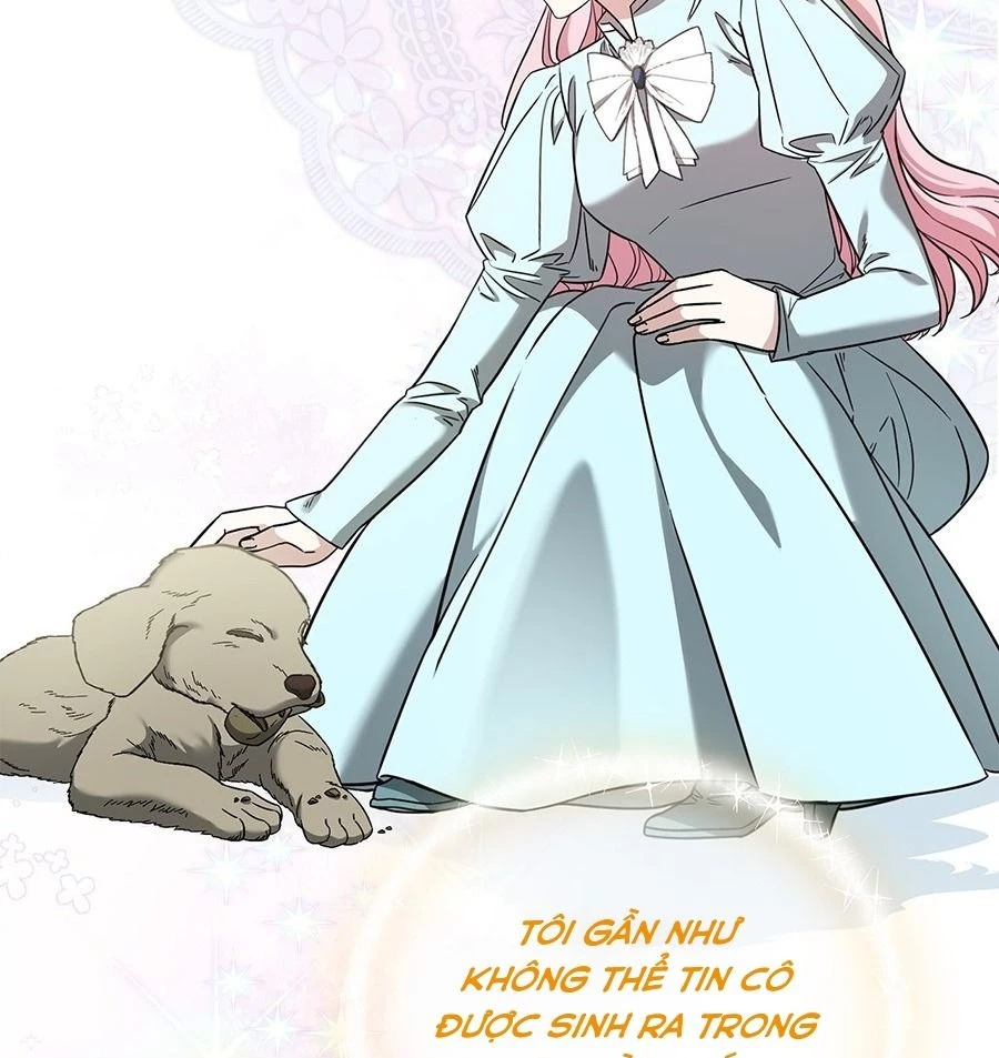 Không Bao Giờ Trở Về Gia Đình Đã Bỏ Rơi Tôi Chapter 62 - 28