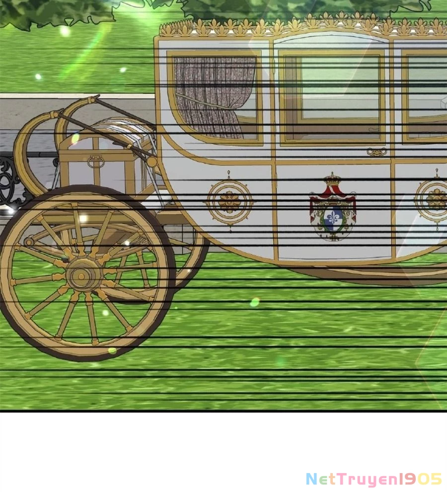 Không Bao Giờ Trở Về Gia Đình Đã Bỏ Rơi Tôi Chapter 65 - 110