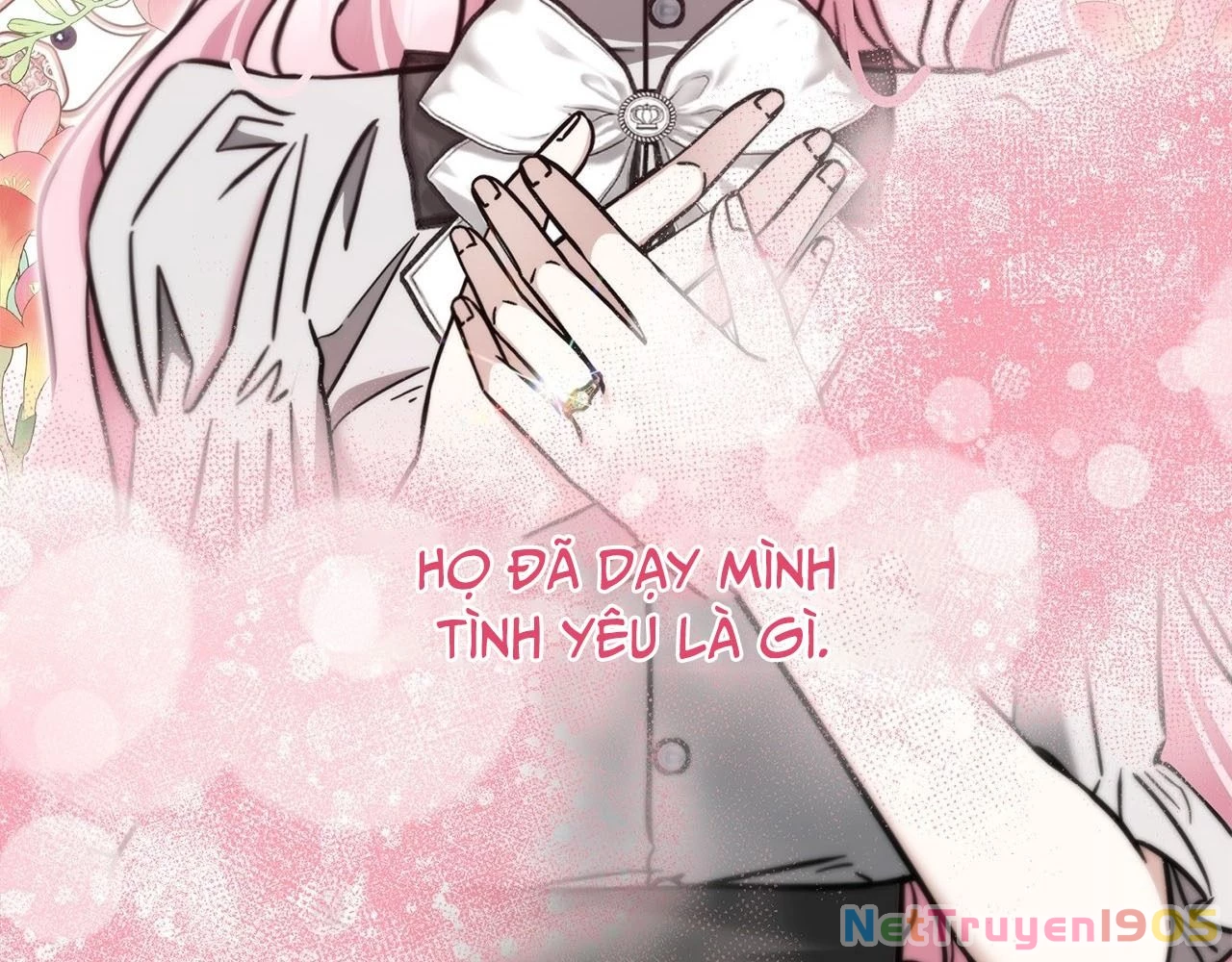 Không Bao Giờ Trở Về Gia Đình Đã Bỏ Rơi Tôi Chapter 66 - 156