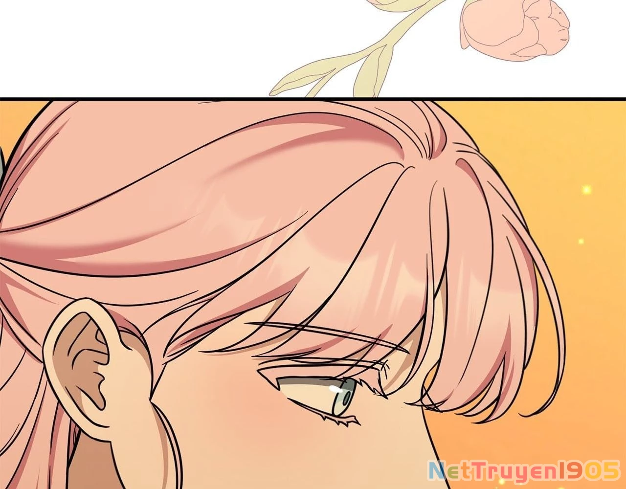 Không Bao Giờ Trở Về Gia Đình Đã Bỏ Rơi Tôi Chapter 73 - 141