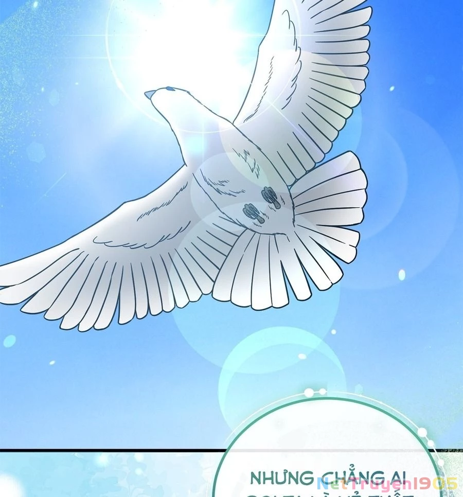 Không Bao Giờ Trở Về Gia Đình Đã Bỏ Rơi Tôi Chapter 76 - 88