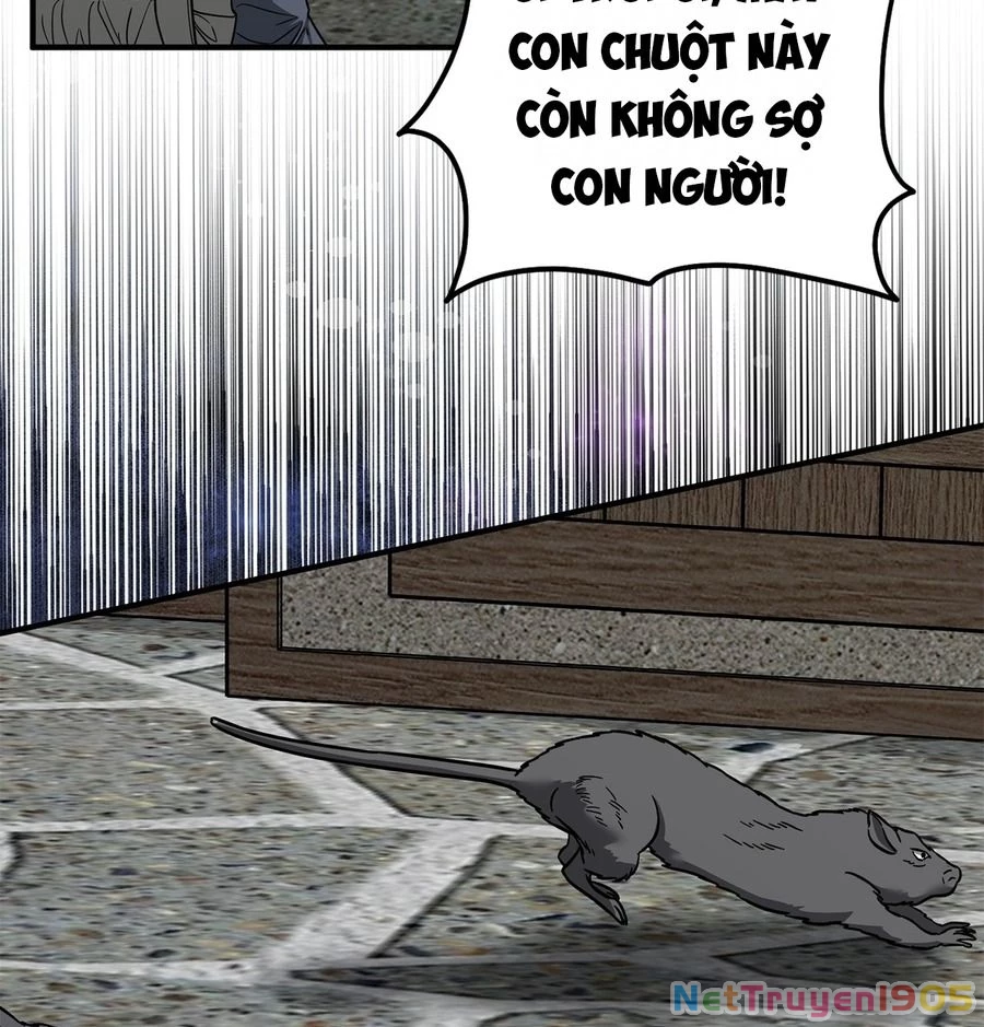 Không Bao Giờ Trở Về Gia Đình Đã Bỏ Rơi Tôi Chapter 76 - 124