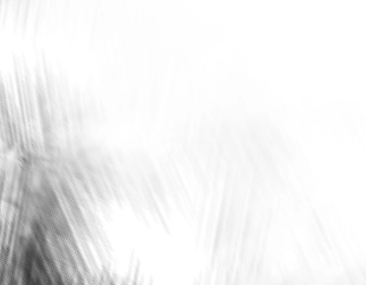 Không Bao Giờ Trở Về Gia Đình Đã Bỏ Rơi Tôi Chapter 77 - 21